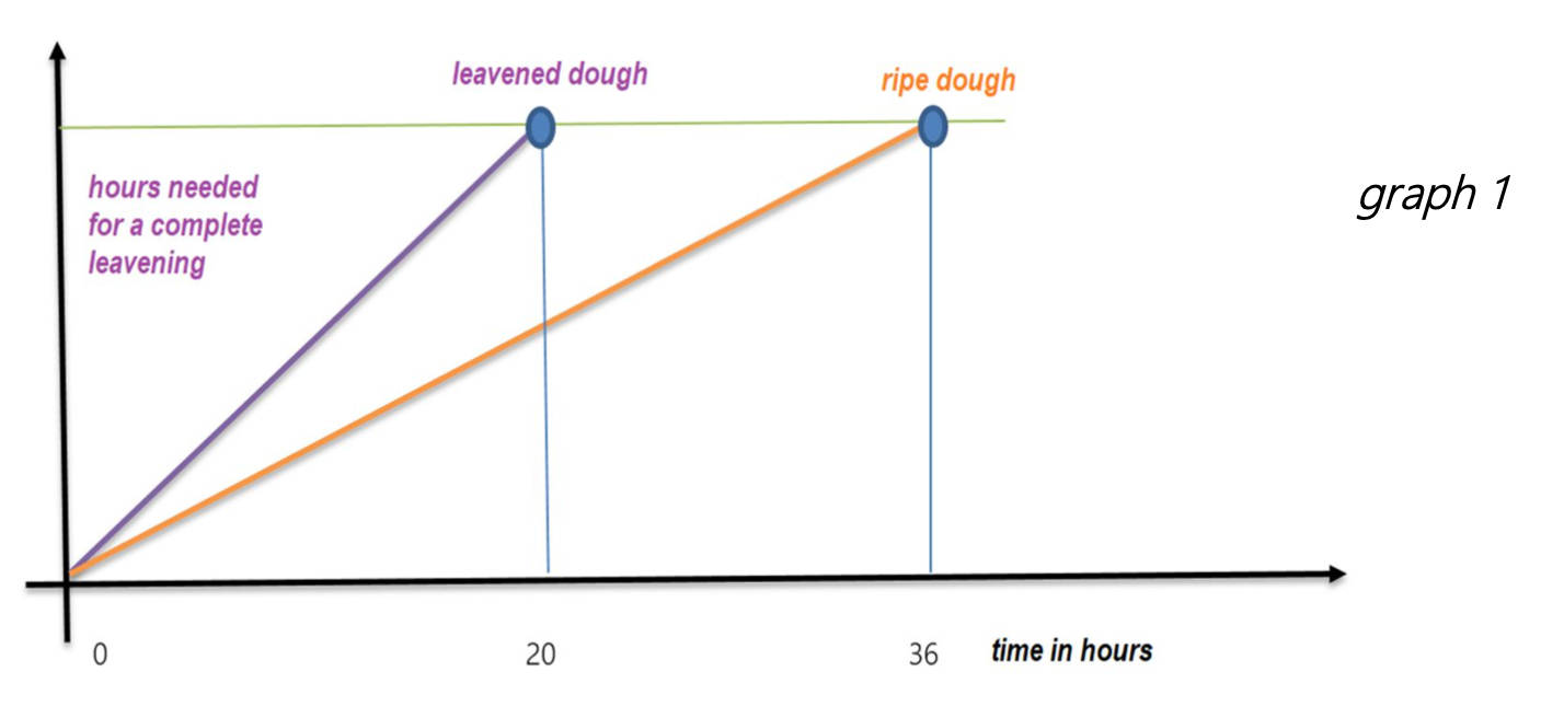 Pizzateig kuehlschrank lagern graph1
