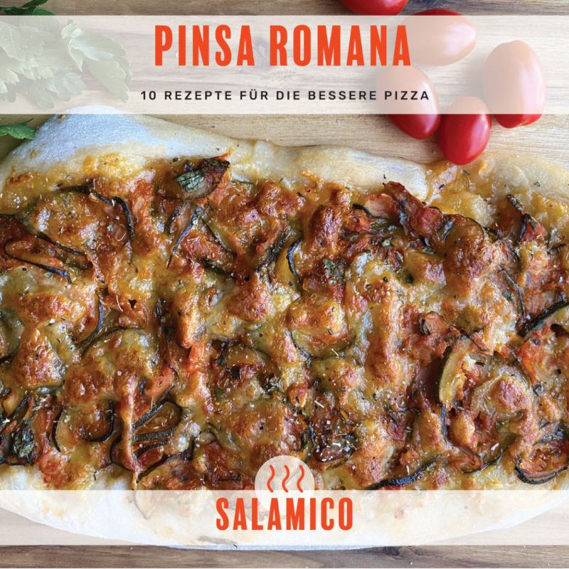 PinsaRomanaeBookCover web